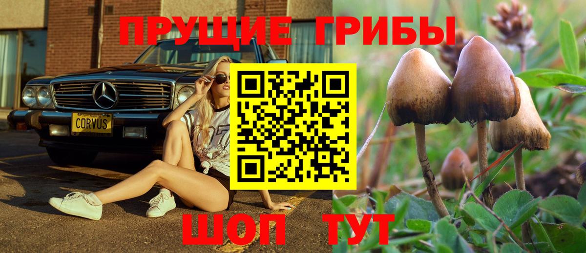 Псилоцибиновые грибы ЛСД  Вход с VPN  хочу   Бутурлиновка 